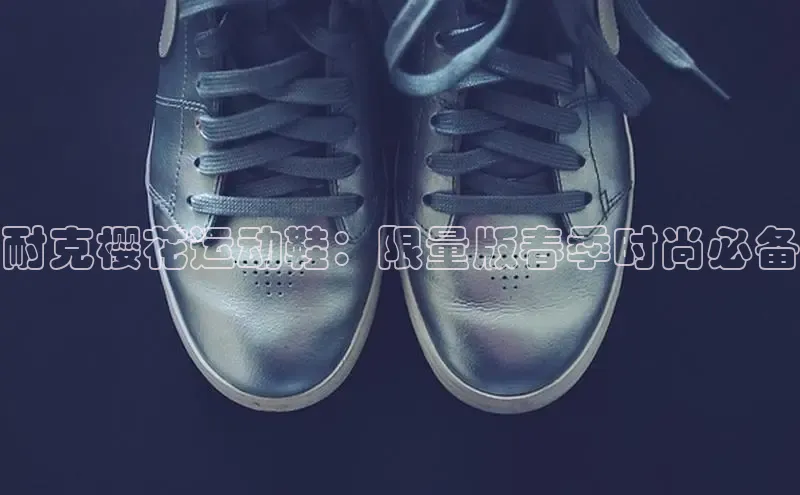 意昂3手机版官方版下载安装最新版本哇咔哇咔文化耐克樱花运动鞋：限量版春季时尚必备