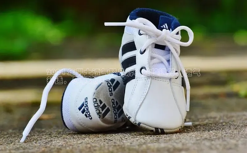 意昂3手游平台官网华策影视2024 年男士透气鞋品牌：最佳选择，透气
舒适，尽享凉爽