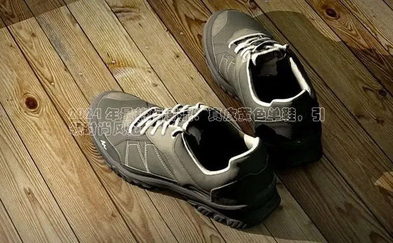 意昂3手机版官网视觉中国2024 年最热门潮流：真皮黄色单鞋，引
领时尚风范