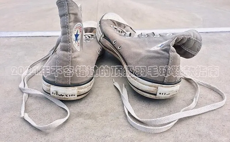 意昂3平台注册网页版百度安全社区2024年不容错过的顶级羽毛球鞋款指南