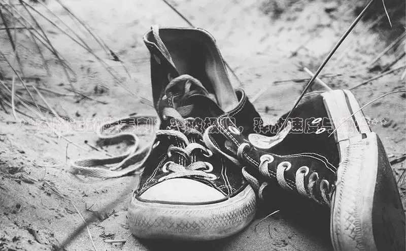 意昂3平台注册网页版百度数据开放平台**安踏运动鞋毒刺：突破极限，释放速度与激情**