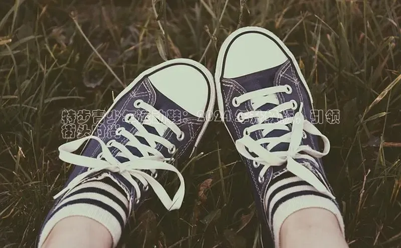 意昂三平台登录入口度小满支付特步青少年运动鞋：2024 年升级版，引领
街头时尚