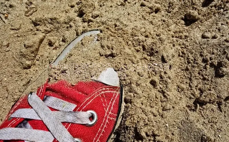 意昂3手机版官网字节跳动2024年必备时尚：人本女款板鞋，
引领舒适与风格潮流