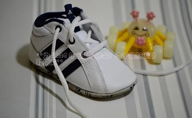 意昂三登录入口极氪智能科技**为 2024 年奥运会装备：李宁最新运动
鞋指南**