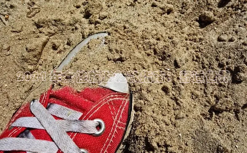 易昂体育3百度教育2024 年女性旅游鞋款指南：舒适世界