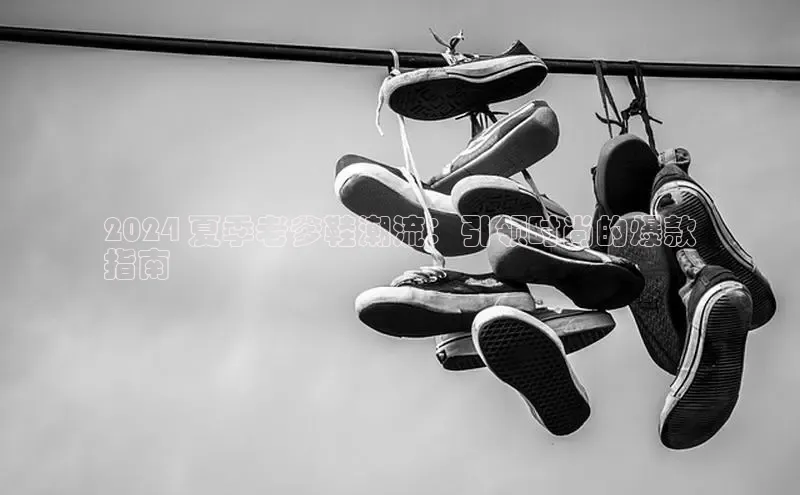 意昂3官网登陆入口百度手机卫士2024 夏季老爹鞋潮流：引领时尚的爆款
指南