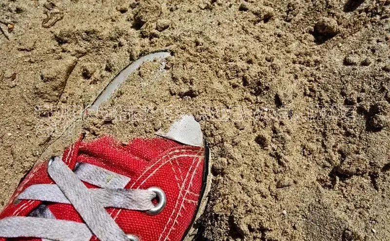 意昂3手游官网下载华扬联众运动鞋尺寸指南：穿大点还是穿小点，哪种更
合适？