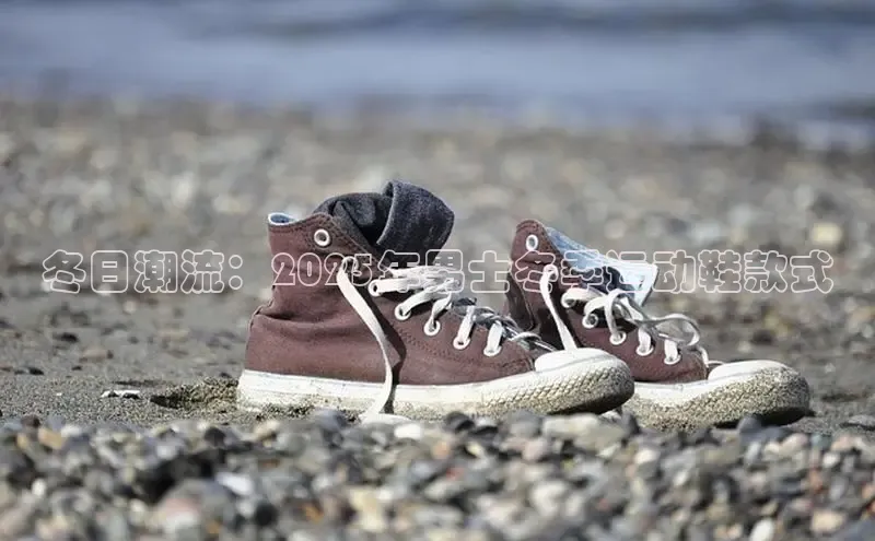 意昂3手机版官方版下载安装最新版本江铃新能源冬日潮流：2025年男士冬季运动鞋款式