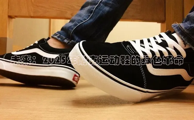 未来：2025年耐克运动鞋的绿色革命