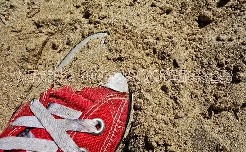 预见未来：2025男士时尚运动鞋趋势