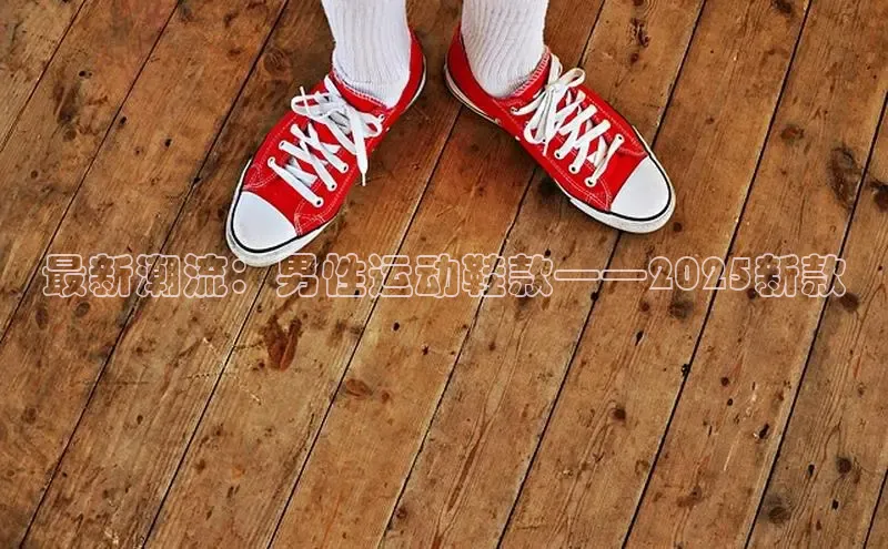最新潮流：男性运动鞋款——2025新款